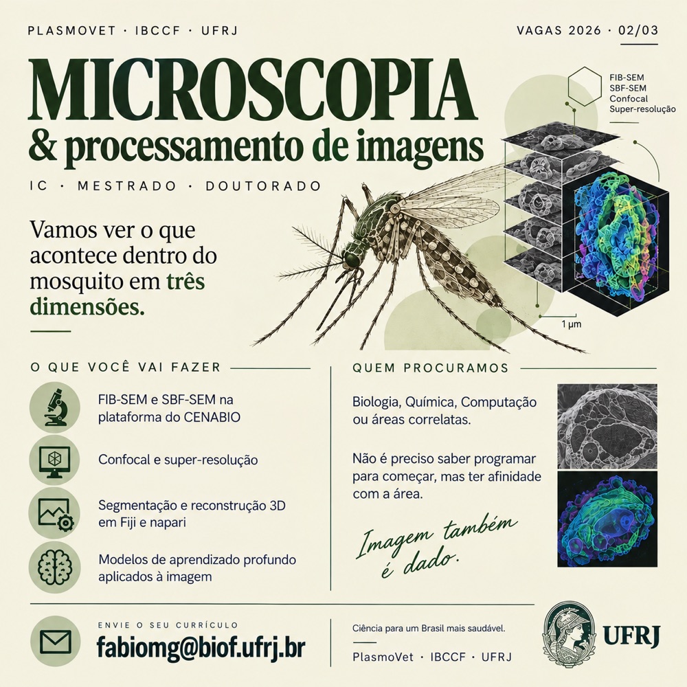 Cartaz de divulgação: vaga em microscopia e processamento de imagens no PlasmoVet